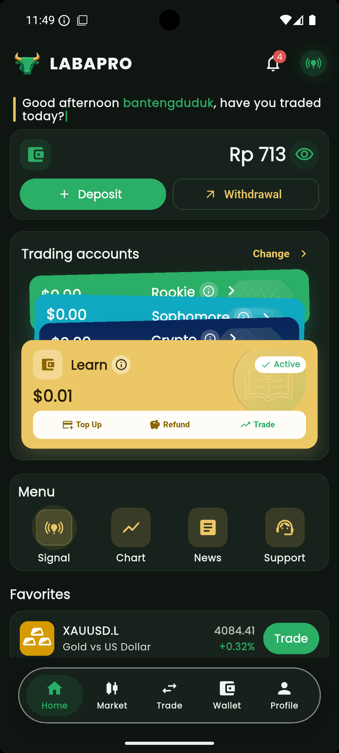 Labapro wallet and account overview